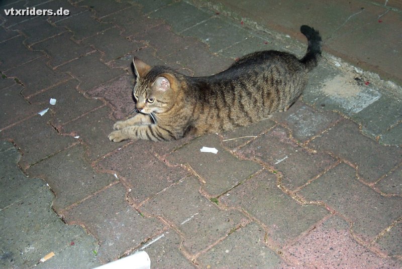p0000365.jpg