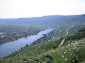 img_2590