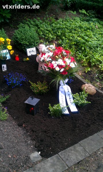 IMAG0022.jpg