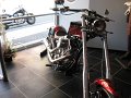 IMG15