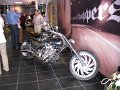 IMG19