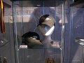 IMG6