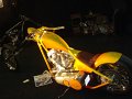 DSC02427