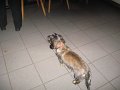 IMG_0003