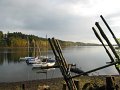 IMG_0005