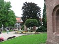 IMG_0009