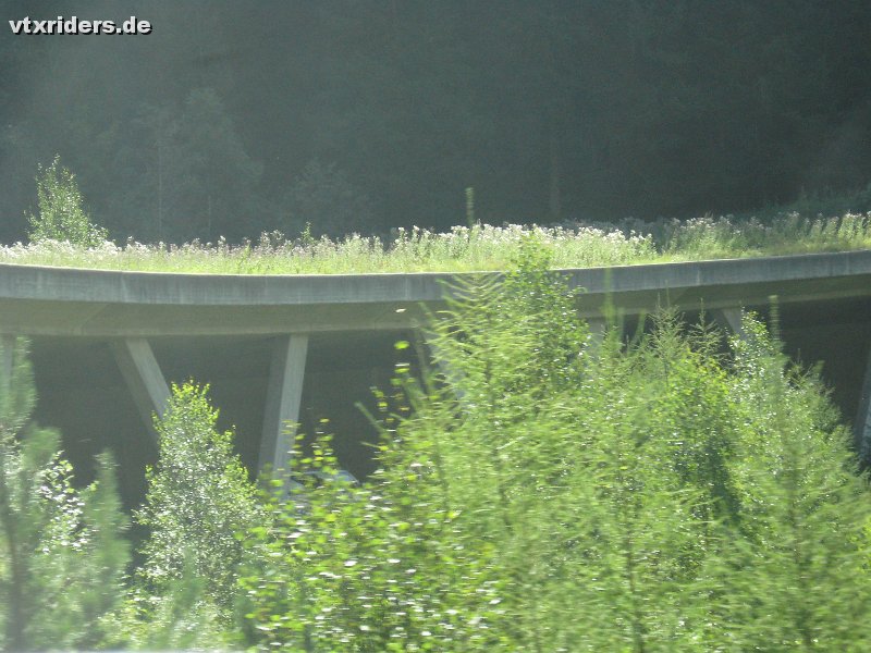 20100905IMG_0033.JPG