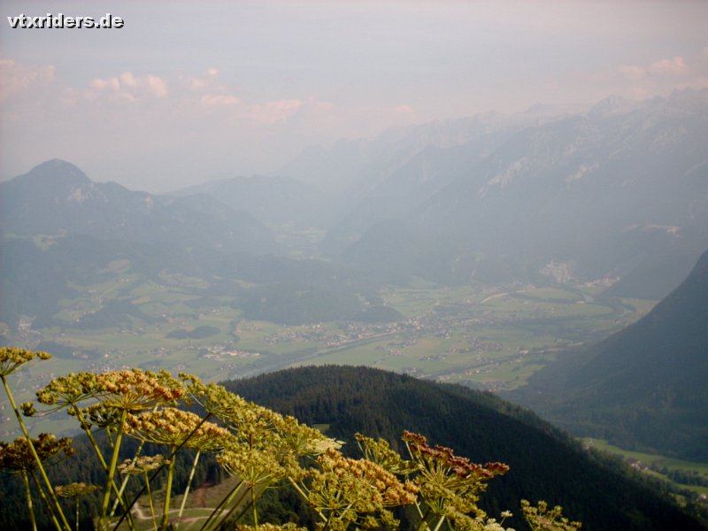 wilfried15.jpg - IM00