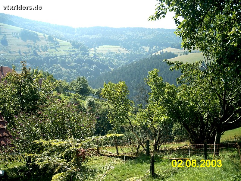 imag0043.jpg
