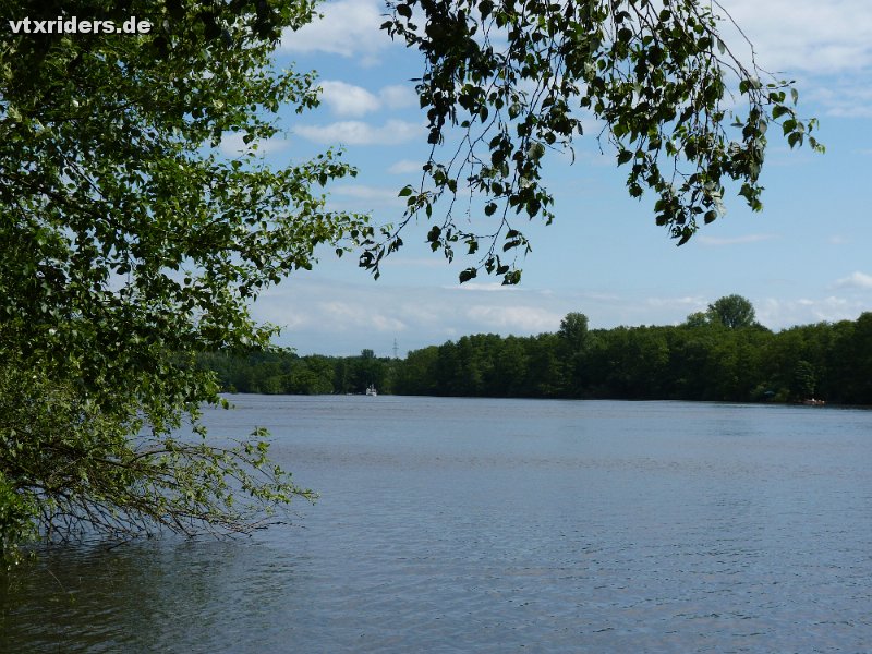 P1140354.JPG