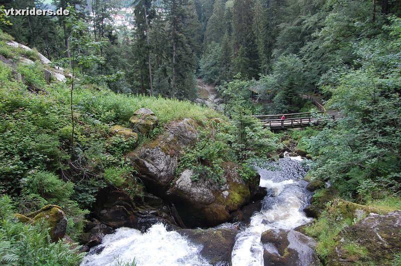 DSC_0915.JPG