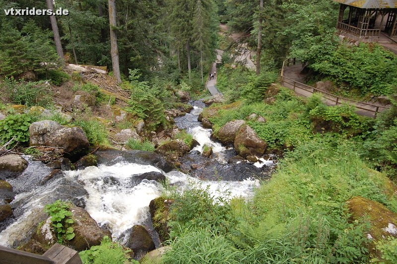 DSC_0919.JPG