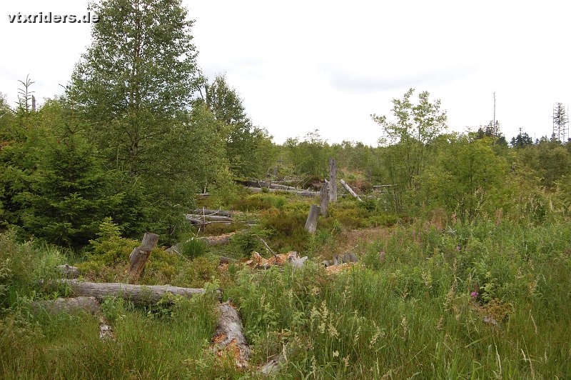 DSC_1015.JPG
