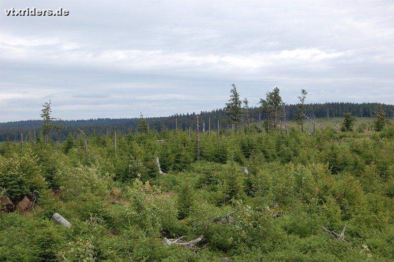DSC_1022.JPG
