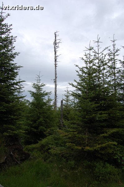 DSC_1026.JPG